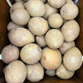 Sapoche mix large & jumbo 10 lbs