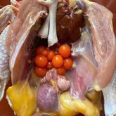 Ga mai dai om trung non thung 50 lbs (3.5-4 lbs/con) (tang them 2 con)