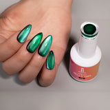 Royal Jelly Gel Cat Eyes 36 Colors Collection