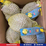 Sau rieng Phuong Ngoc Cai Be RI6 - thung 27 lbs (4-6 trai)