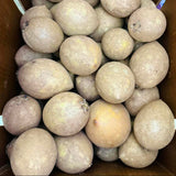 Sapoche mix large & jumbo 10 lbs