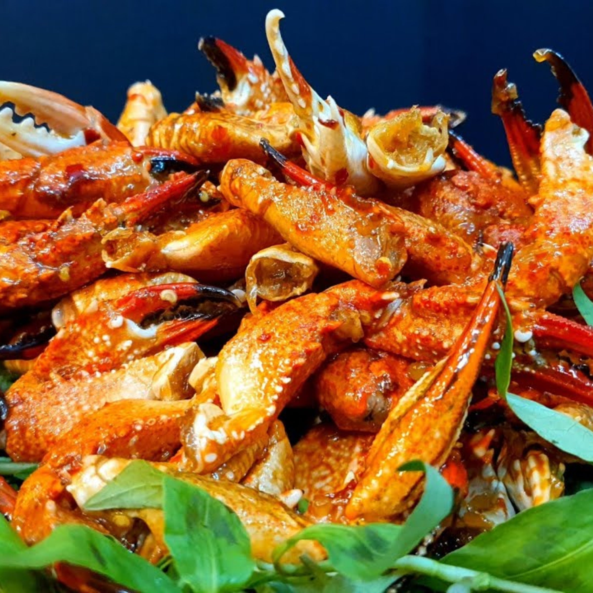 Cang Ghe Bich Lv 454G