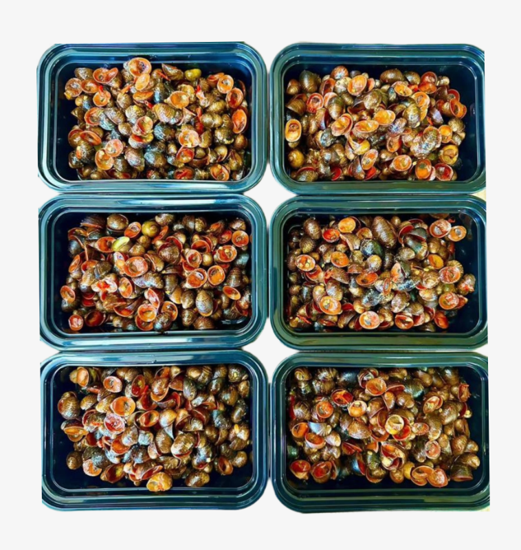 Oc dua muoi set - hop 1 lbs