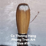 PREMIUM AAA+ Germany Brush by PHONG TRAN SIZE 16