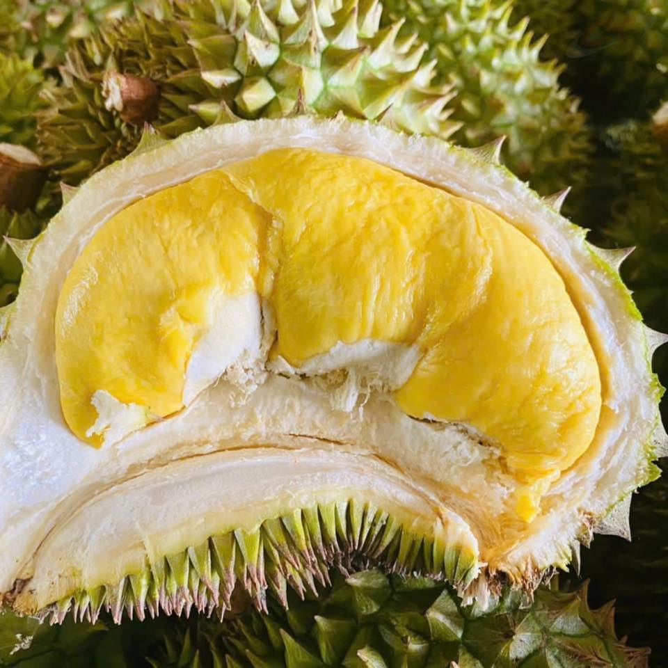 Sau rieng Phuong Ngoc Cai Be RI6 - thung 27 lbs (4-6 trai)