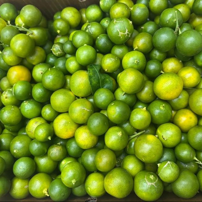 Tac tuoi - thung 10 lbs