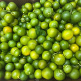 Tac tuoi - thung 10 lbs