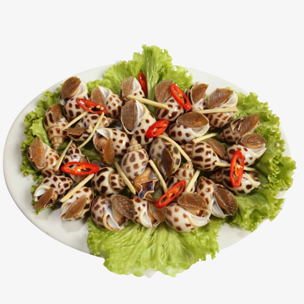 Oc Huong Bien Tuoi Hap 908G